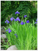 ���ԁA�D���ł����H